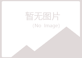 山东冰夏化学有限公司